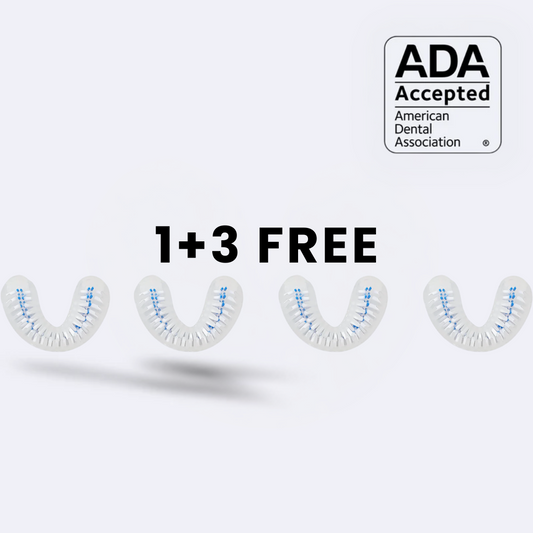 Brush Adult 1+3 Free
