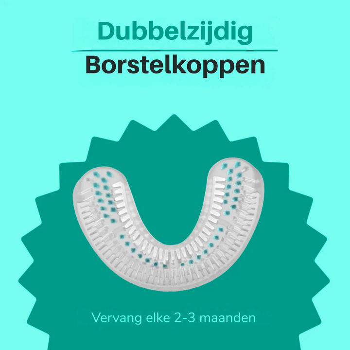 Borstel Volwassene 1+3 GRATIS